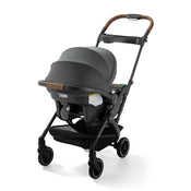 Shop Graco GoMax Travel System, 2026, Ace at GoodBuy Gear