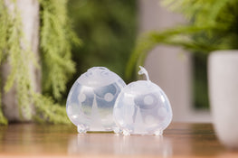 Shop Haakaa Ladybug Silicone Milk Collector 2.5 oz/75 ml at GoodBuy Gear