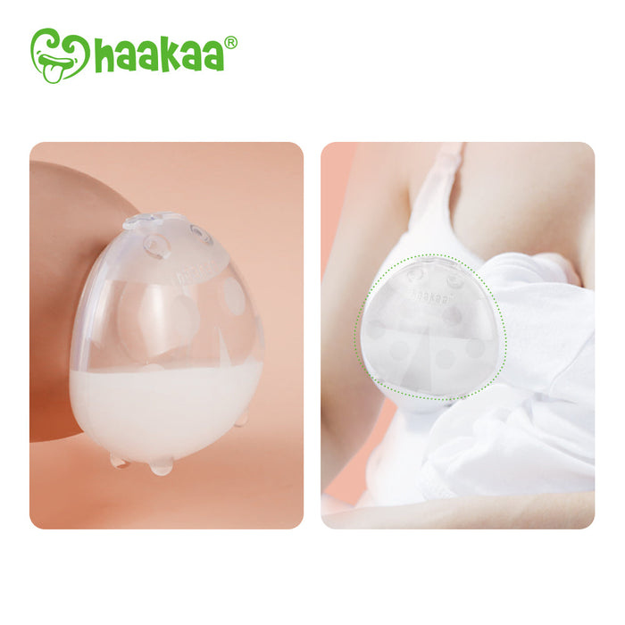 Shop Haakaa Ladybug Silicone Milk Collector 2.5 oz/75 ml at GoodBuy Gear