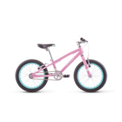 Shop Raleigh Lily 16" Kid's Bike, Pink at GoodBuy Gear