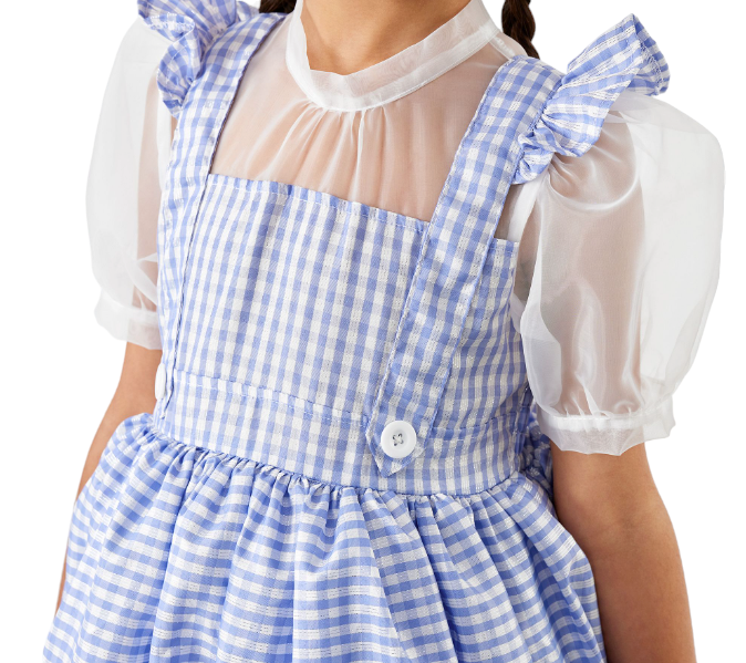 Pottery Barn Kids Wizard of Oz Dorothy Costume, 4-6yrs