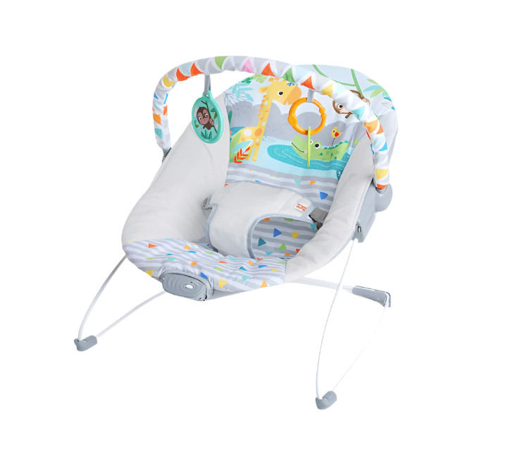 Bright Starts Vibrating Bouncer, Safari Fun — GoodBuy Gear