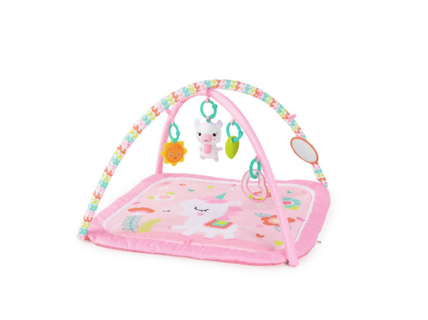 Bright Starts Activity Gym, Daydreams Bloom