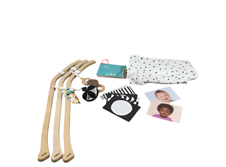 Shop Lovevery The Play Gym at GoodBuy Gear