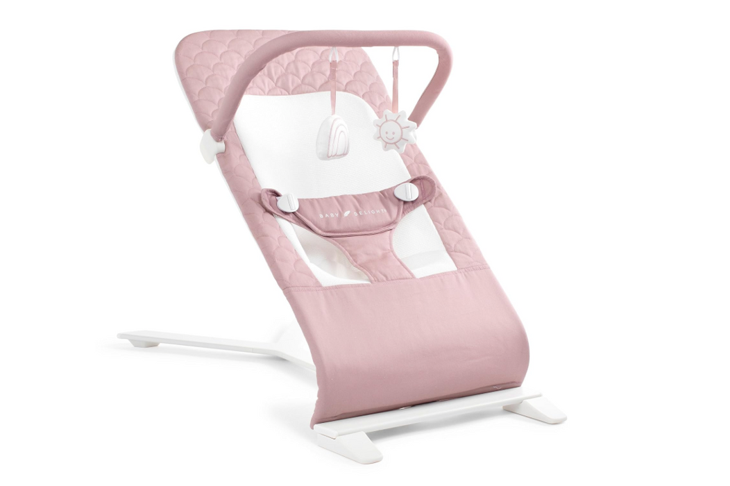 Baby Delight Alpine Deluxe Portable Bouncer, Organic Rose