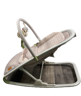 Tiny Love 2-In-1 Rocker