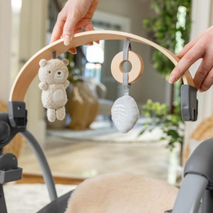 Ingenuity Every Season Swing 'n Go Portable Swing, Wesley