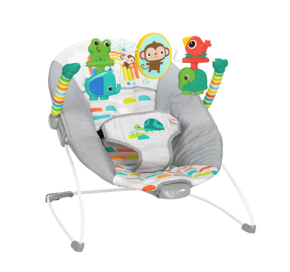 Bright Starts Vibrating Bouncer, Playful Paradise