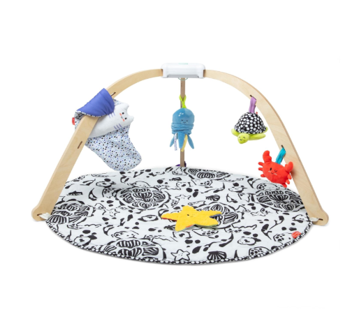 Melissa & Doug Ocean Easy-Fold Play Gym