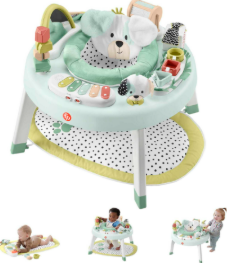 Fisher Price 3-in-1 Sit-to-Stand Activity Center, Snugapuppy