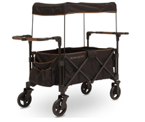Shop Delta Children Hercules Stroller Wagon for 2 Kids, Black at GoodBuy Gear