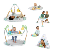 Shop Ingenuity Tummy-to-Toes Play Gym, 6-in-1 Milestone Center at GoodBuy Gear