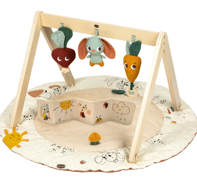 Tiny Love Garden of Adventures Luxe Developmental Gymini, Multicolor