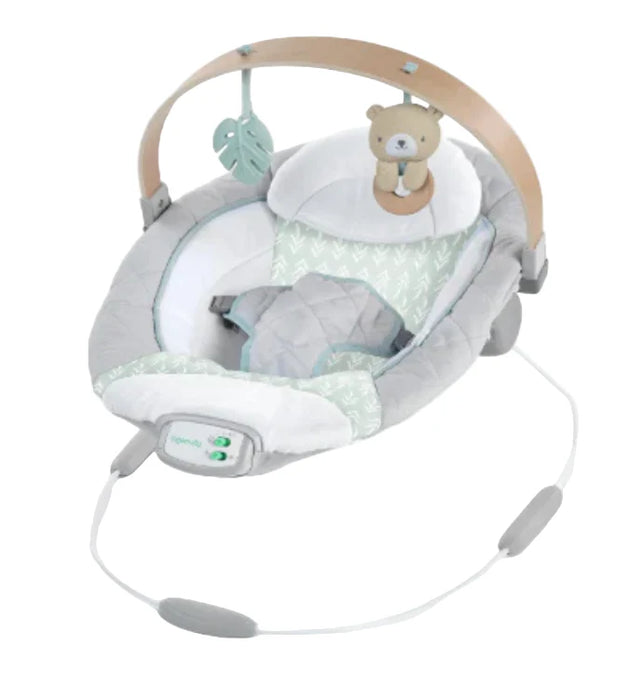Ingenuity Cozy Spot Swing n Go Portable Swing, Nate