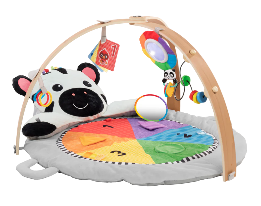 Baby Einstein Activity Gym, Zen's Activity Milestones