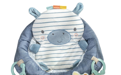 Shop Ingenuity Prop Spot Learn-to-Sit, Casi The Zebra at GoodBuy Gear