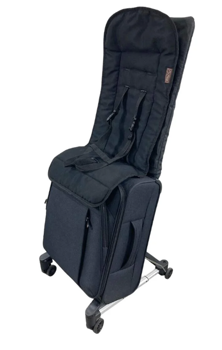 Mountain Buggy Skyrider