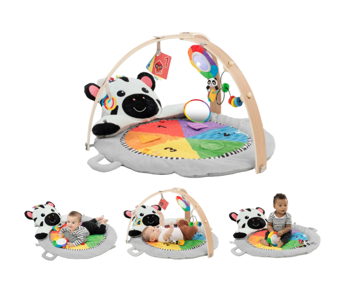 Baby Einstein Activity Gym, Zen's Activity Milestones