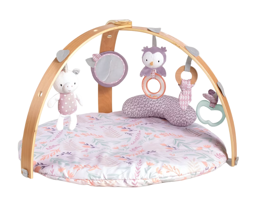 Ingenuity Cozy Spot Reversible Activity Gym, Pink