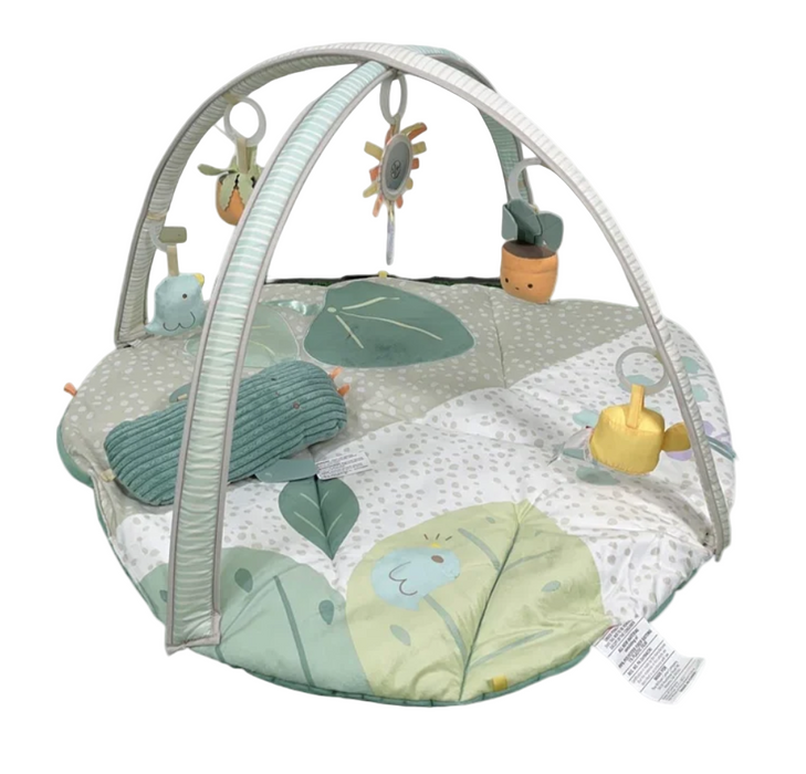 Skip Hop Activity Gym Play Mat, Garden Oasis
