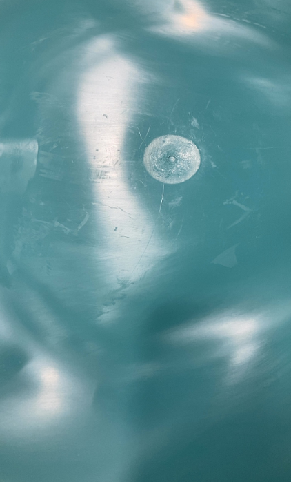 Ingenuity Spring & Sprout 2-in-1 Activity Center, First Forest