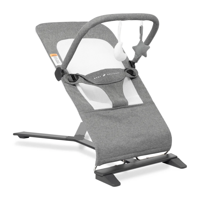 Baby Delight Alpine Deluxe Portable Bouncer, Charcoal Tweed