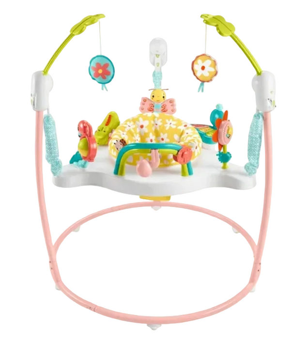 Fisher Price Jumperoo Activity Center, Blooming Fun