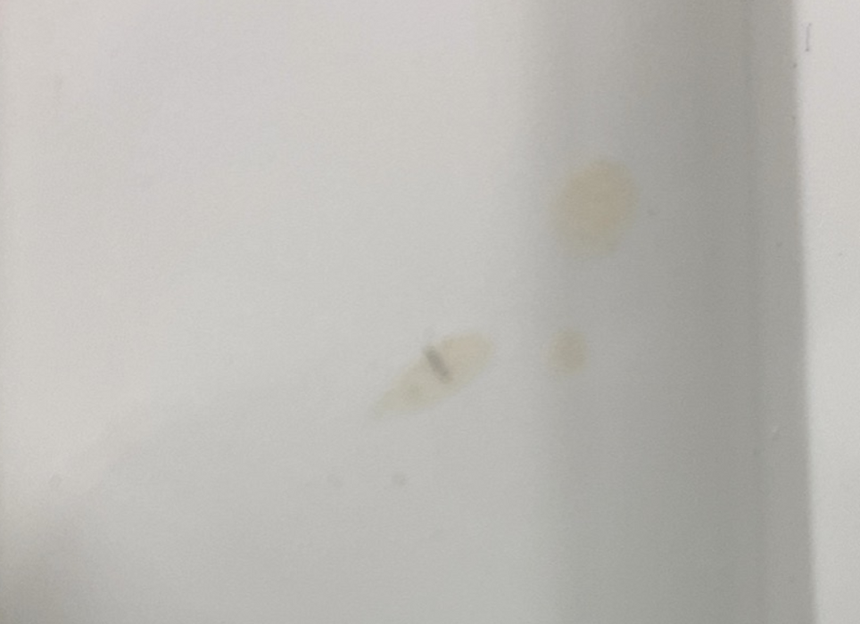 Tiny Love Here I Grow 4-in-1 Baby Walker And Activity Center, Meadow Days