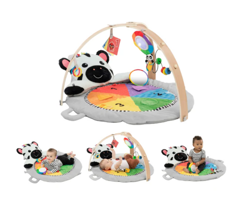 Baby Einstein Activity Gym, Zen's Activity Milestones