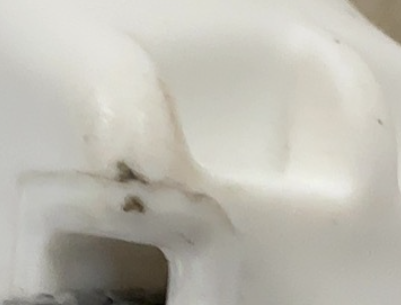 Bright Starts Doorway Jumper, Playful Parade