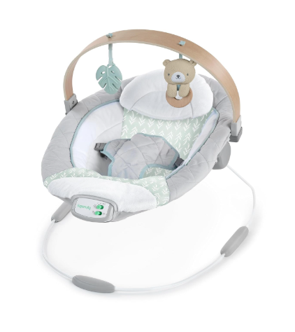 Ingenuity Cozy Spot Soothing Baby Bouncer, Nate