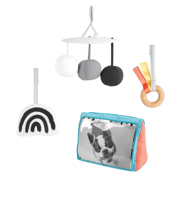 Skip Hop Discoverosity Montessori- Inspired Play Gym