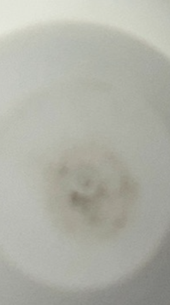 Skip Hop 2-in-1 Sit-up Activity Baby Chair, Silver Lining Cloud