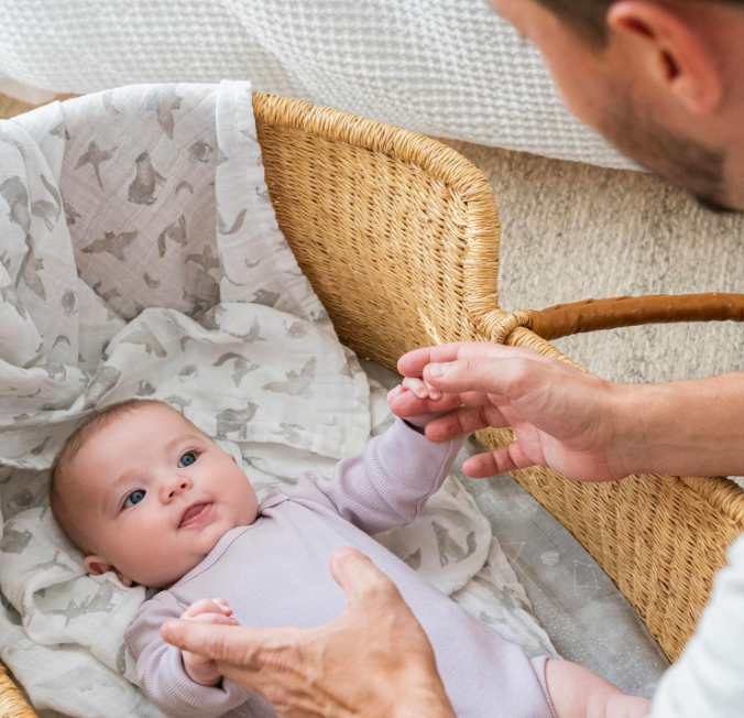 Aden + Anais Large Cotton Muslin Swaddle, 2 Pack, Map the Stars