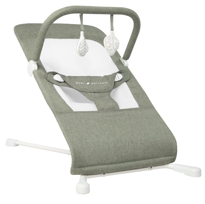 Baby Delight Highland Bouncer, Sage Tweed