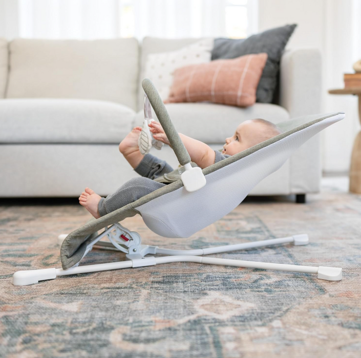 Baby Delight Highland Bouncer, Sage Tweed