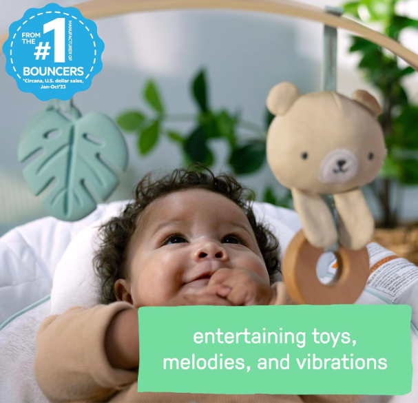 Ingenuity Cozy Spot Swing n Go Portable Swing, Nate