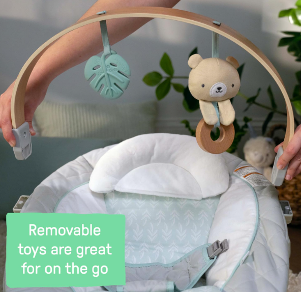 Ingenuity Cozy Spot Swing n Go Portable Swing, Nate