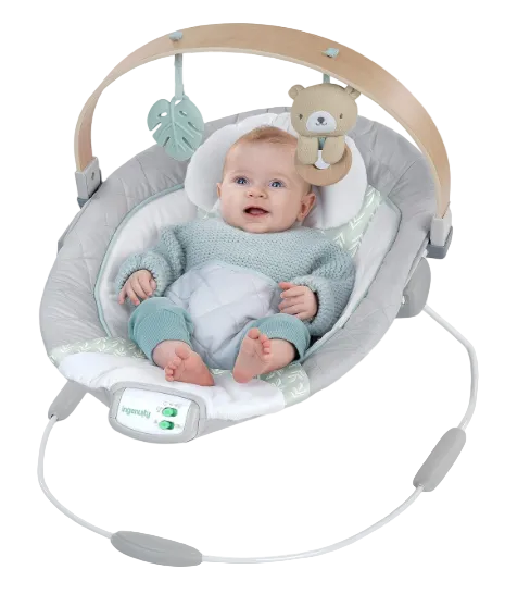 Ingenuity Cozy Spot Swing n Go Portable Swing, Nate