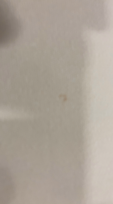 Snuggle Me Organic Lounger Curve, Natural