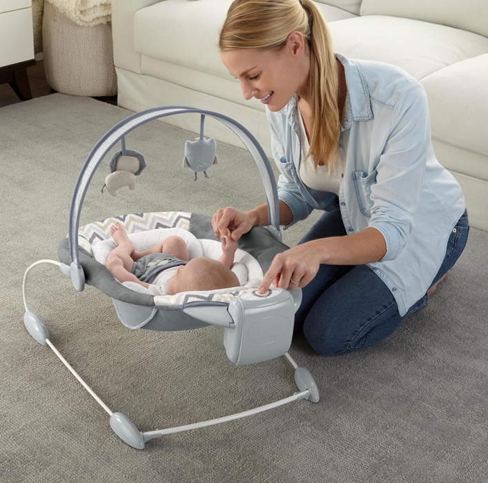 Ingenuity SmartBounce Automatic Bouncer, Braden