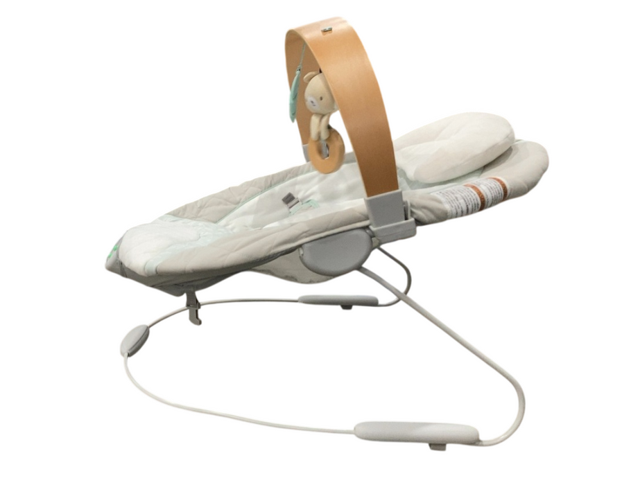 Shop Ingenuity Cozy Spot Swing n Go Portable Swing, Nate at GoodBuy Gear