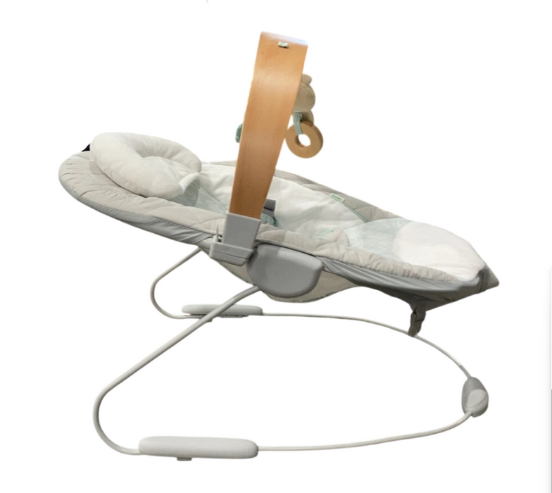 Shop Ingenuity Cozy Spot Swing n Go Portable Swing, Nate at GoodBuy Gear