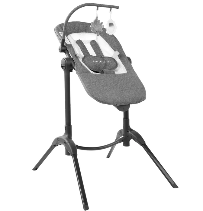 Shop Baby Delight Bloom Soothing Adjustable Lounger, Charcoal Tweed at GoodBuy Gear
