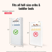 Shop Dream On Me 88 Coil Inner Spring Mattress, Daisy Dreams at GoodBuy Gear