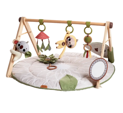 Shop Tiny Love Boho Chic Luxe Developmental Gymini at GoodBuy Gear