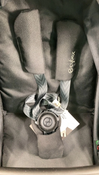 Shop Cybex Eos Stroller Seat, Moon Black at GoodBuy Gear
