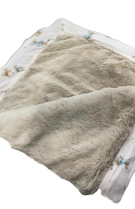 Shop Saranoni Peter Rabbit Bamboo Rayon Muslin/Lush Blanket, 15"x20", Boy at GoodBuy Gear
