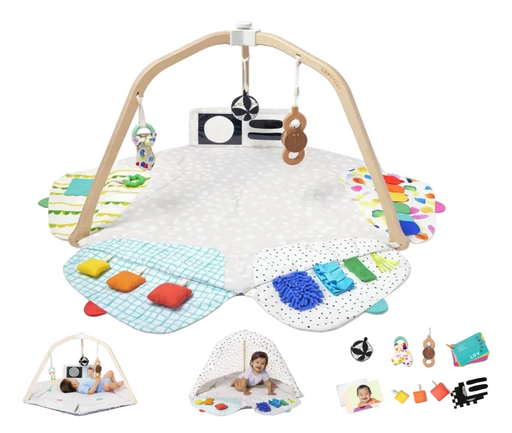 Shop Lovevery The Play Gym, Multi-Color at GoodBuy Gear