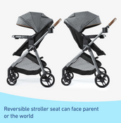 Shop Graco Modes Trio Stroller, 2025, Hemlock at GoodBuy Gear
